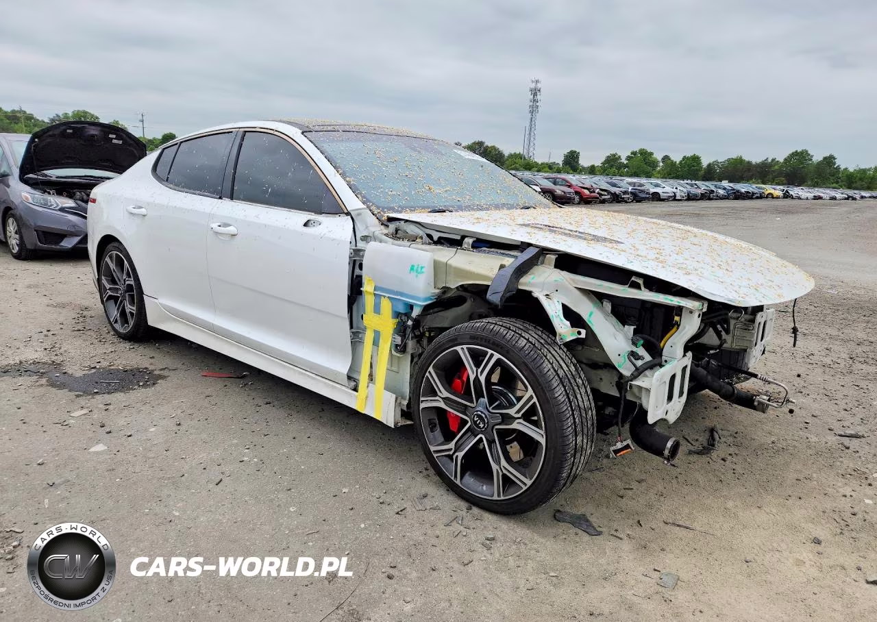 2019 Kia Stinger Gt1 VIN:KNAE45LC1K6059679 - 4