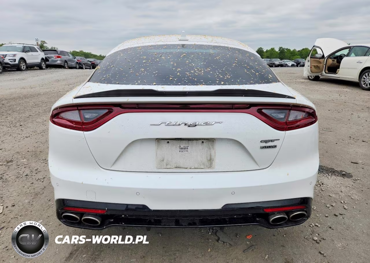2019 Kia Stinger Gt1 VIN:KNAE45LC1K6059679 - 6