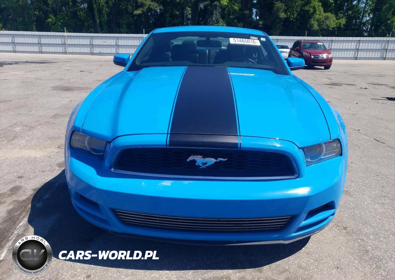 2014 Ford Mustang 2D VIN:1ZVBP8AM7E5210994 - 5