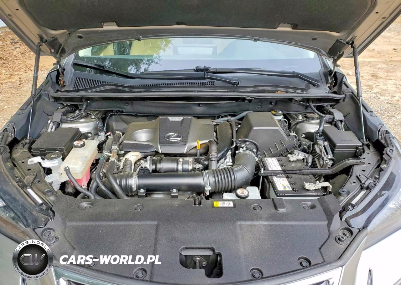 2021 Lexus Nx 300 Base VIN:JTJGARBZ2M5034636 - 12