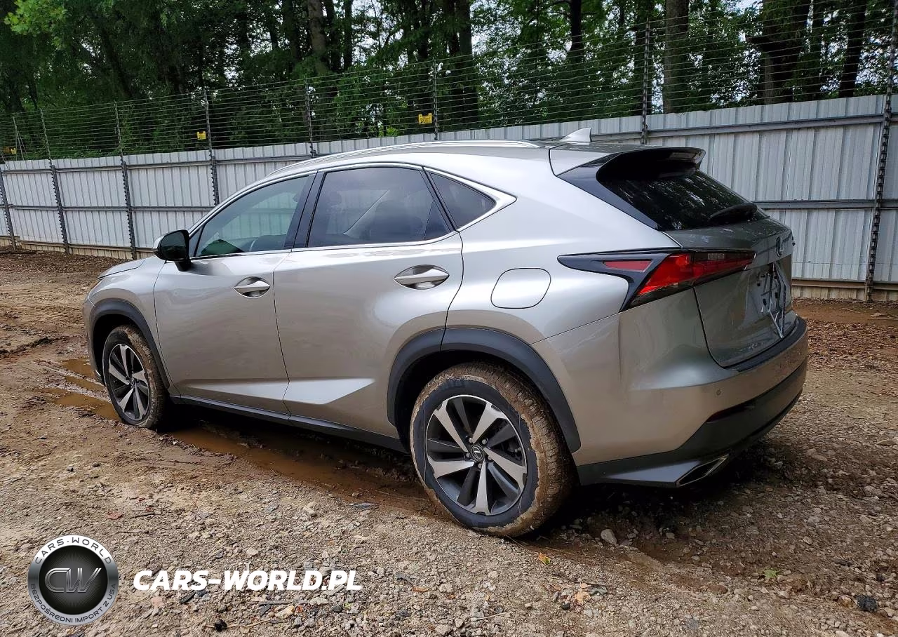2021 Lexus Nx 300 Base VIN:JTJGARBZ2M5034636 - 2