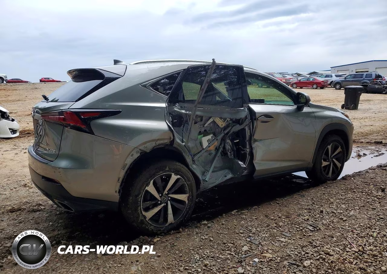 2021 Lexus Nx 300 Base VIN:JTJGARBZ2M5034636 - 3