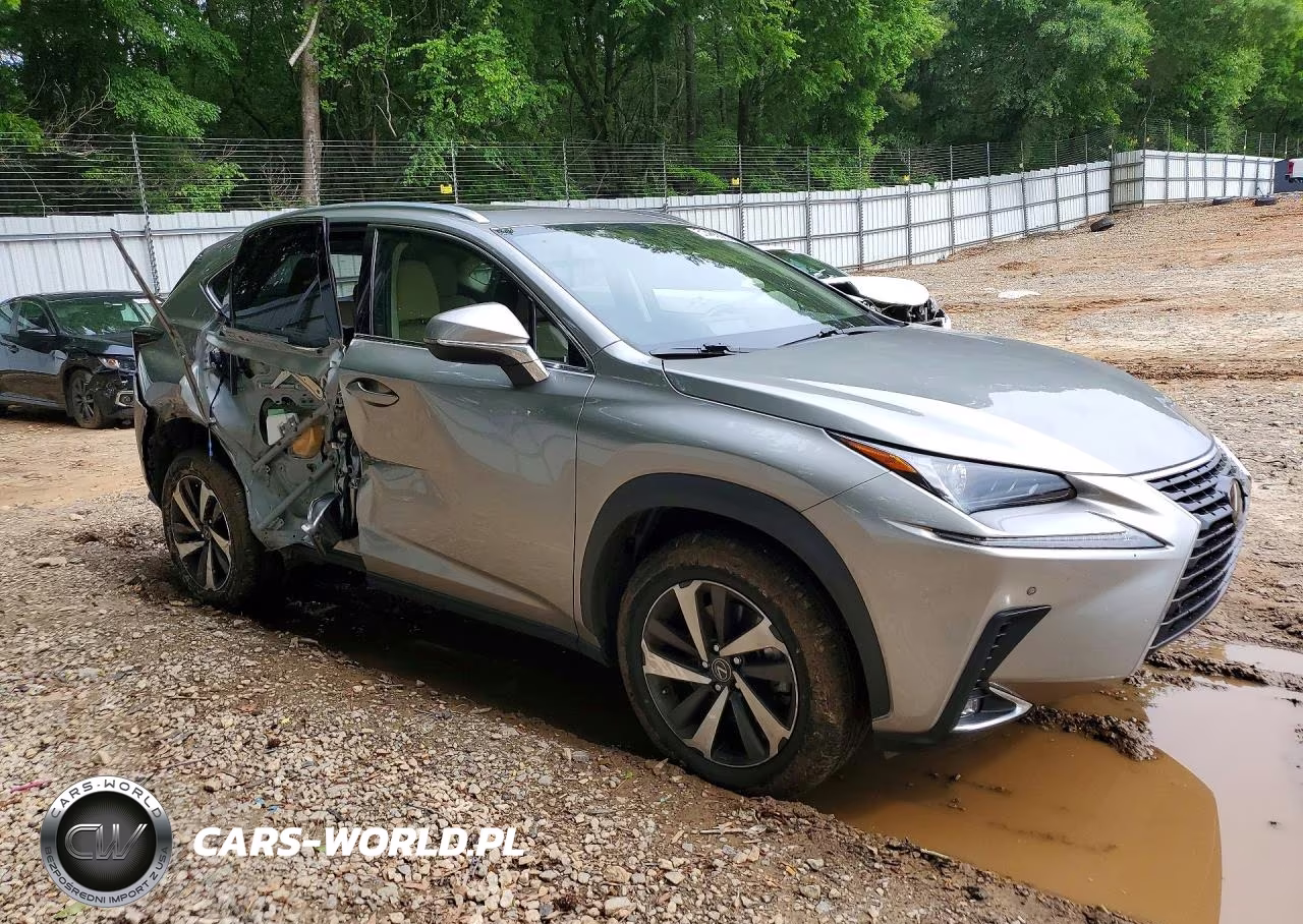 2021 Lexus Nx 300 Base VIN:JTJGARBZ2M5034636 - 4