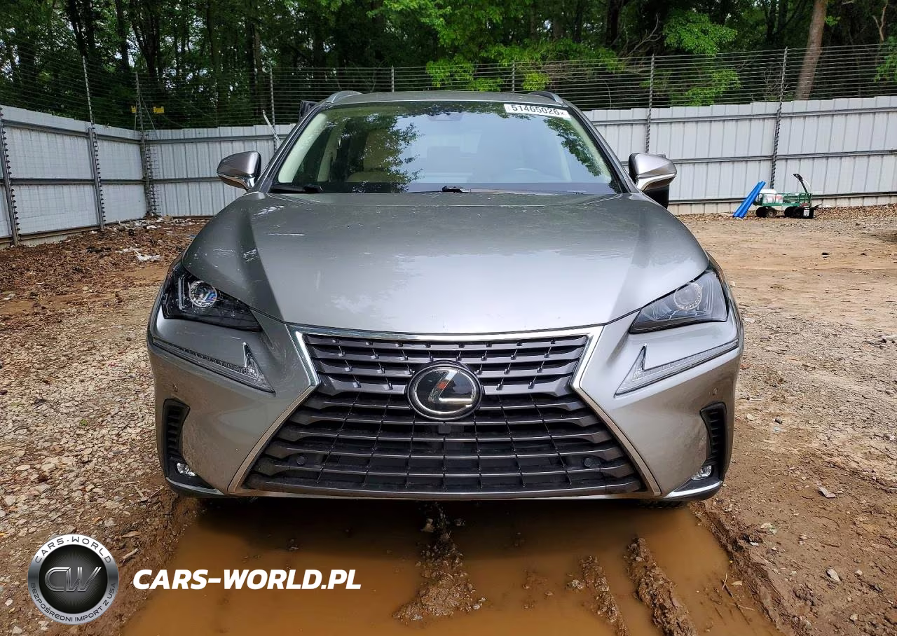 2021 Lexus Nx 300 Base VIN:JTJGARBZ2M5034636 - 5