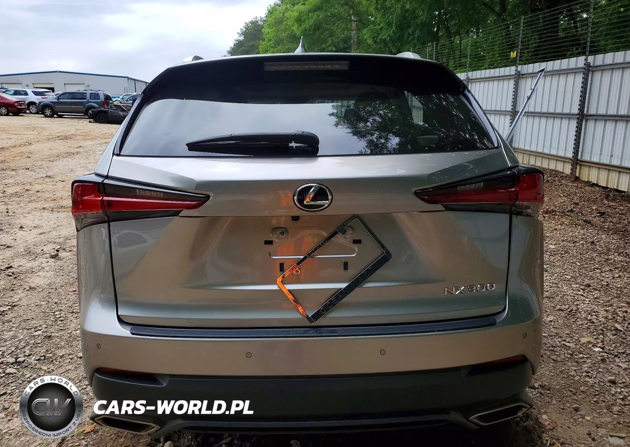2021 Lexus Nx 300 Base VIN:JTJGARBZ2M5034636 - 6