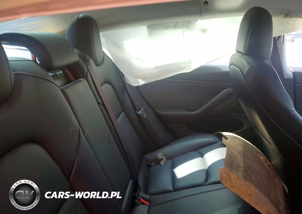 2019 Tesla Model 3 VIN:5YJ3E1EA1KF316677 - 10