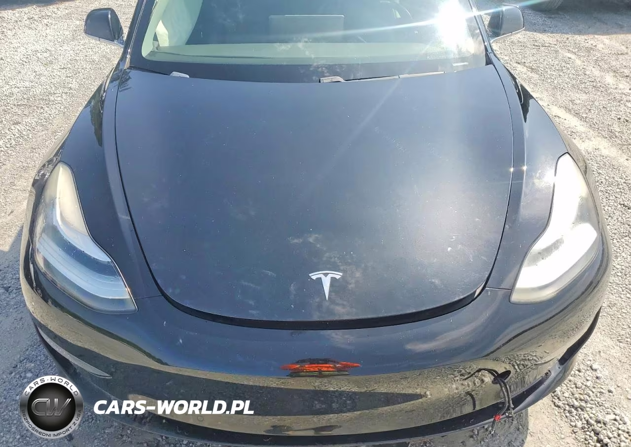 2019 Tesla Model 3 VIN:5YJ3E1EA1KF316677 - 11