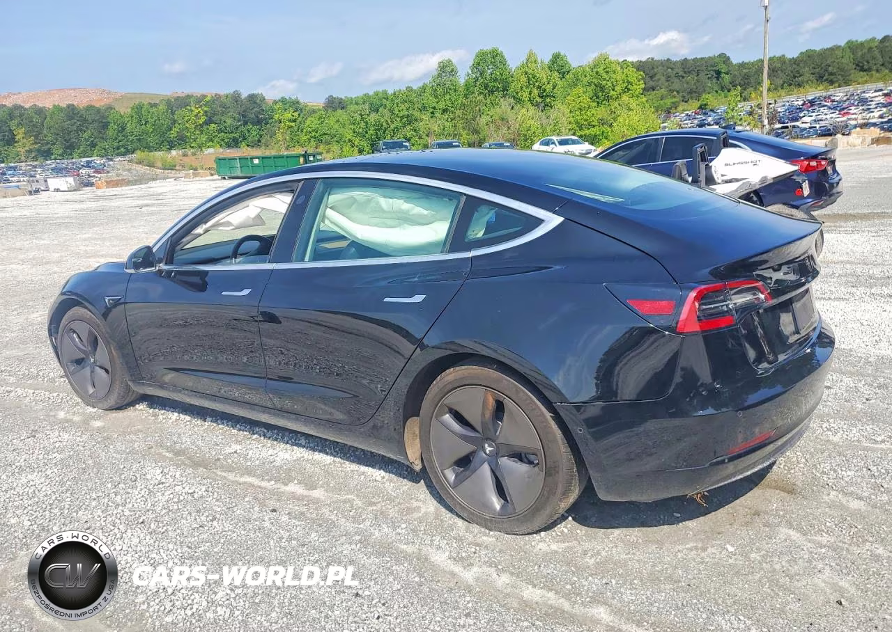 2019 Tesla Model 3 VIN:5YJ3E1EA1KF316677 - 2