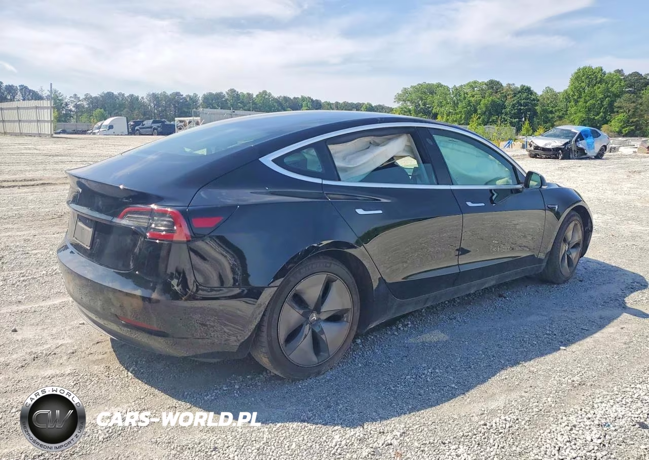2019 Tesla Model 3 VIN:5YJ3E1EA1KF316677 - 3