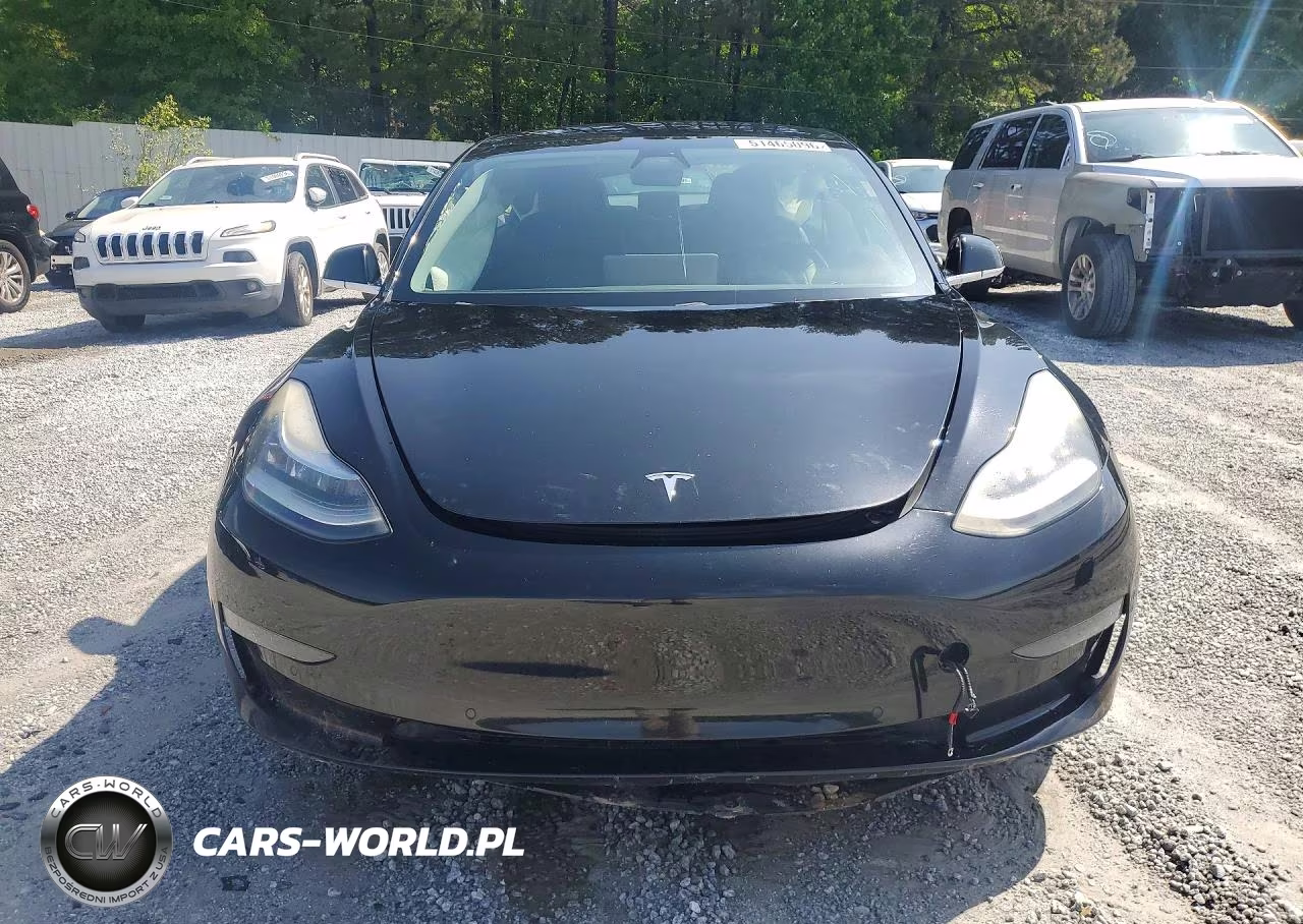 2019 Tesla Model 3 VIN:5YJ3E1EA1KF316677 - 5