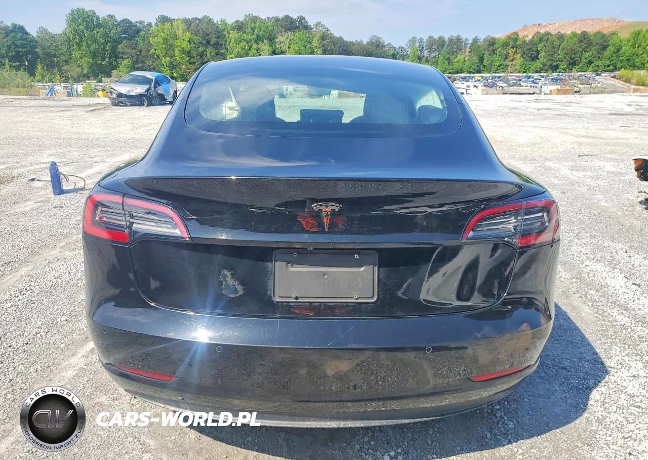2019 Tesla Model 3 VIN:5YJ3E1EA1KF316677 - 6