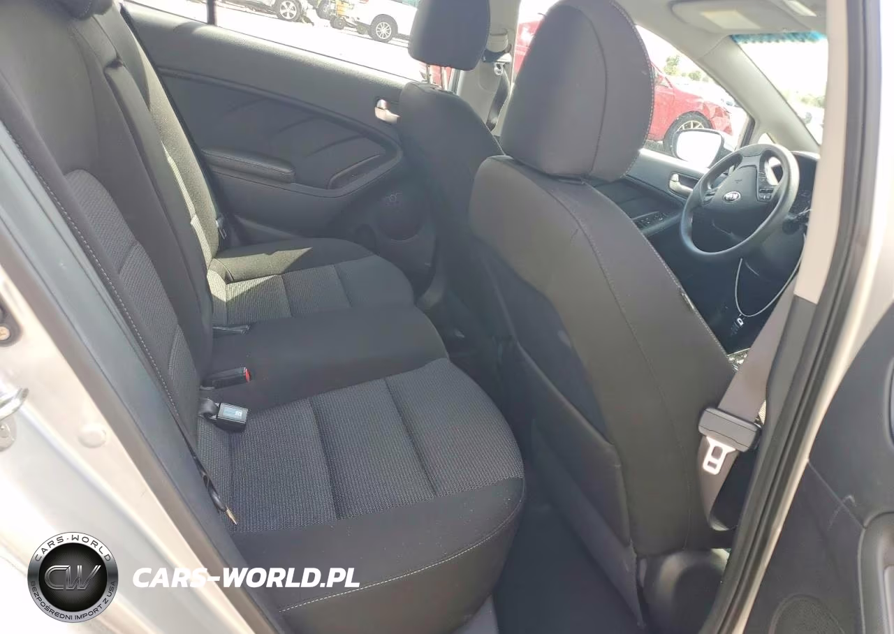 2017 Kia Forte Lx VIN:KNAFK5A87H5673546 - 10