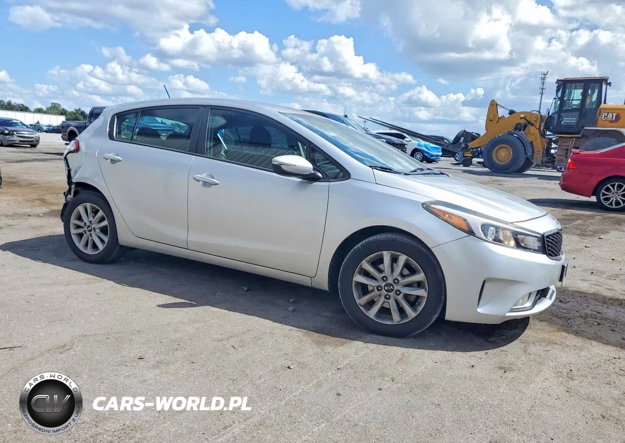 2017 Kia Forte Lx VIN:KNAFK5A87H5673546 - 4
