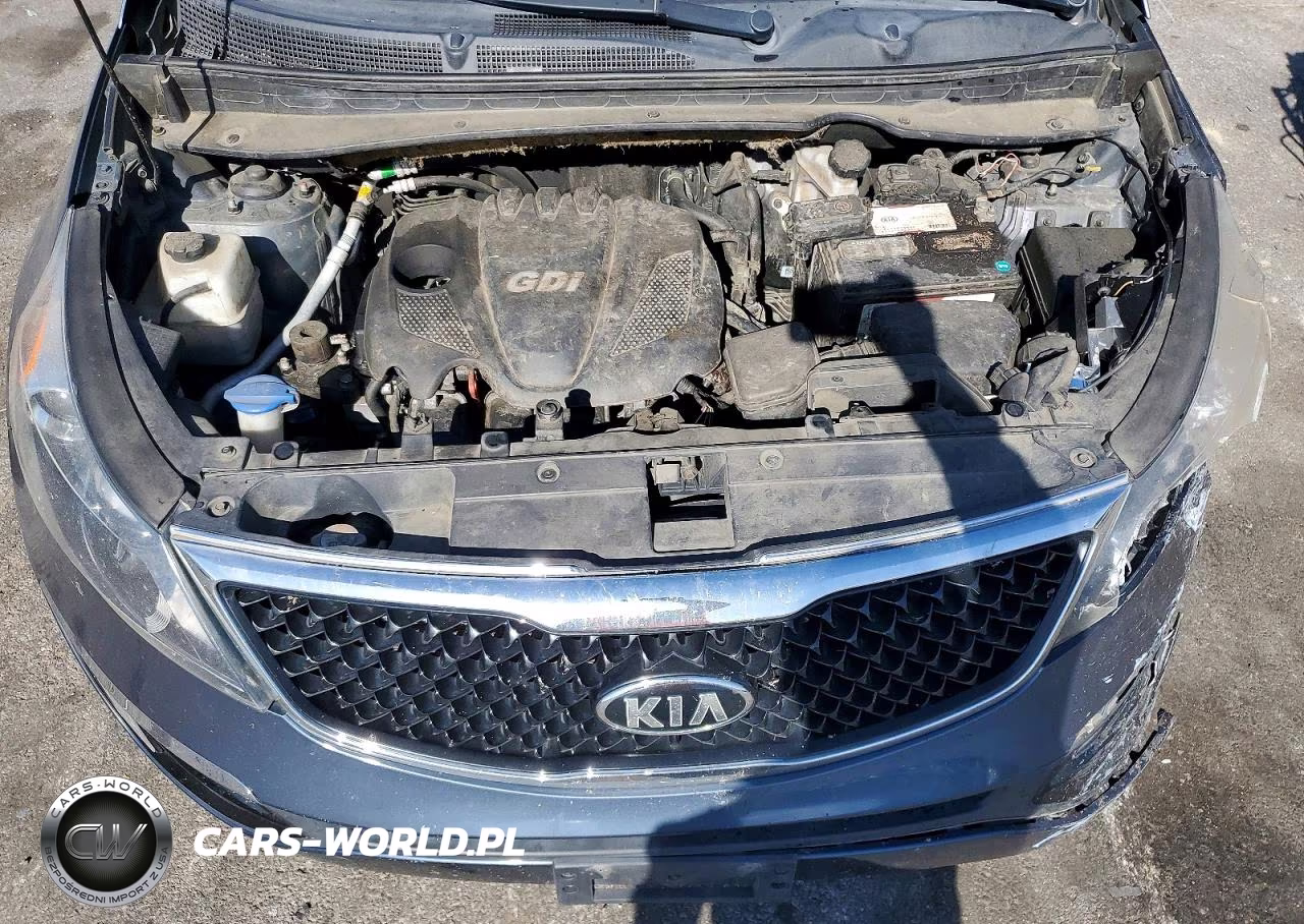 2015 Kia Sportage Ex VIN:KNDPC3AC9F7761349 - 12