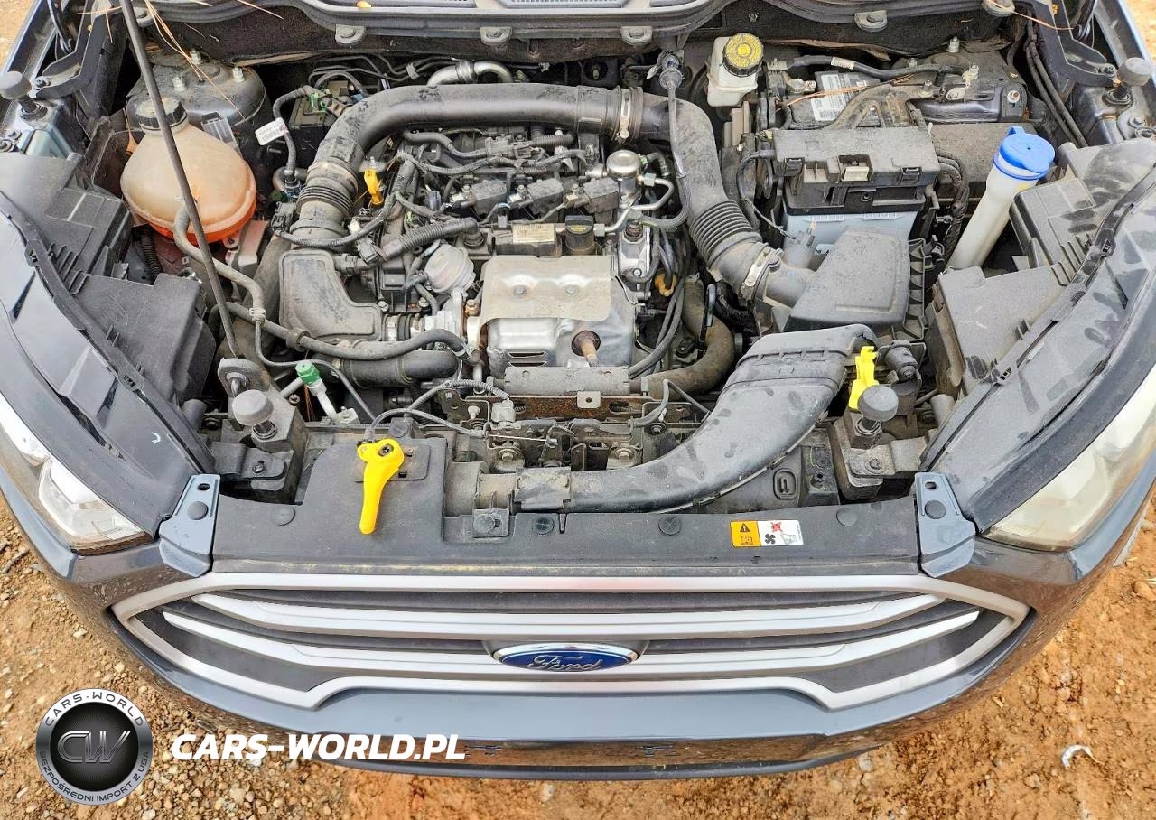 2020 Ford Ecosport Se VIN:MAJ3S2GEXLC327504 - 12