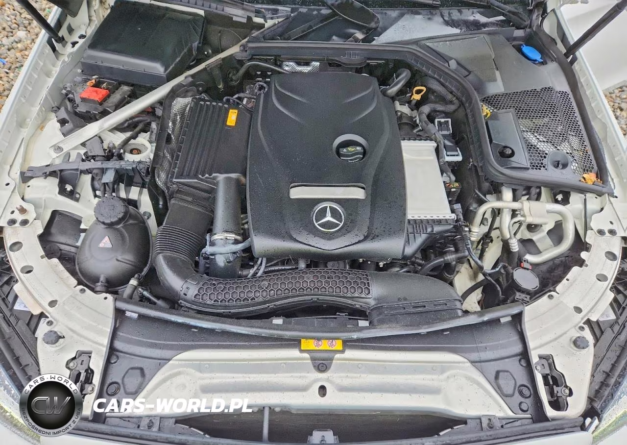 2018 Mercedes-Benz C 300 VIN:WDDWJ4JBXJF625914 - 11