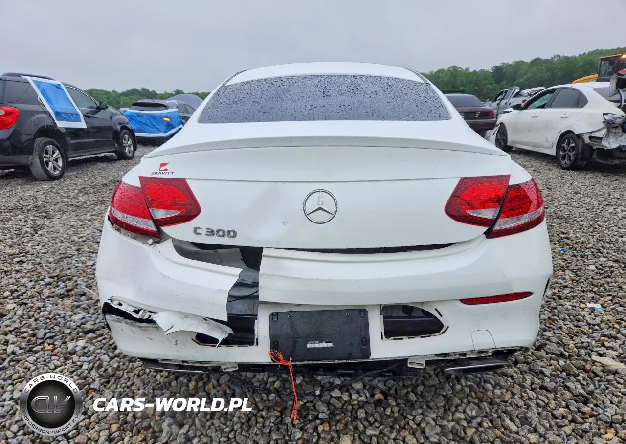 2018 Mercedes-Benz C 300 VIN:WDDWJ4JBXJF625914 - 6
