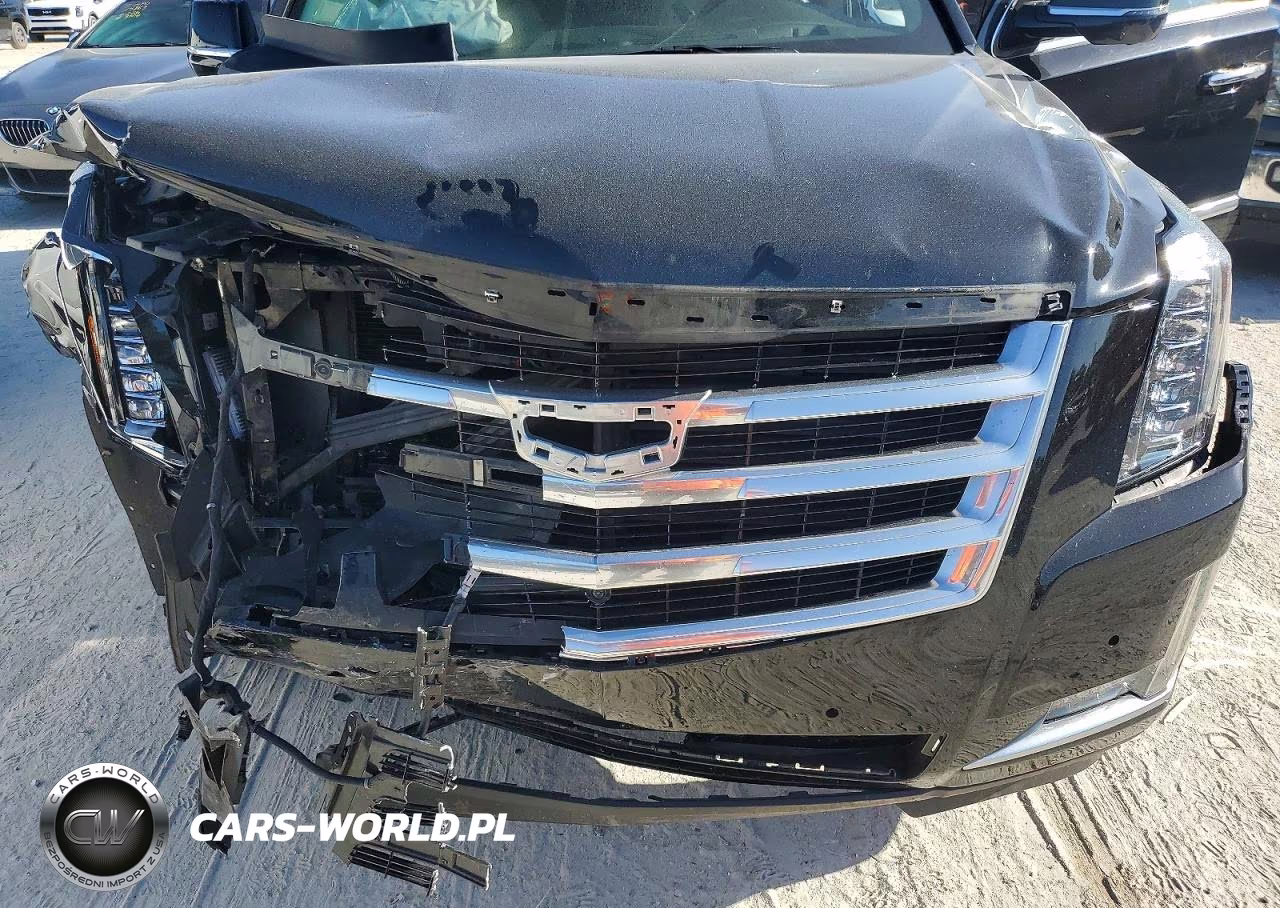 2017 Cadillac Escalade Luxury VIN:1GYS4BKJXHR228555 - 12