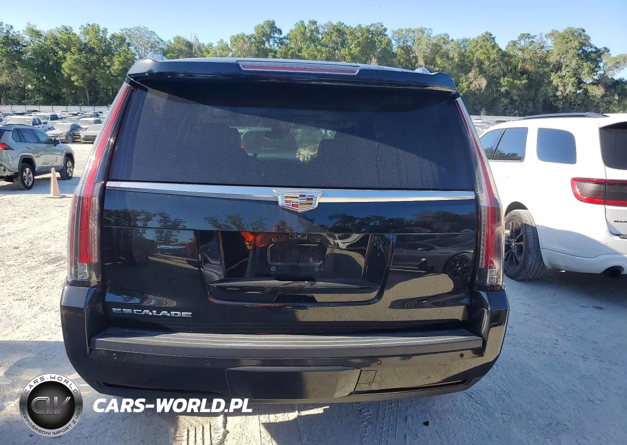 2017 Cadillac Escalade Luxury VIN:1GYS4BKJXHR228555 - 6
