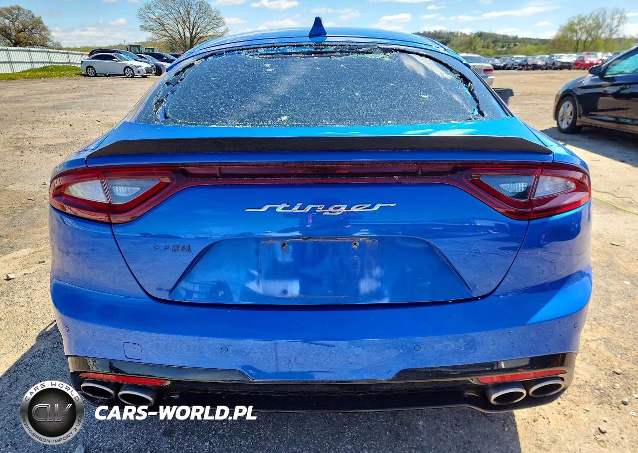 2018 Kia Stinger Gt VIN:KNAE35LC5J6011815 - 6