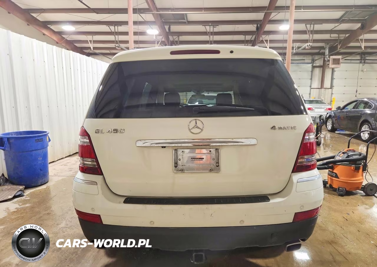 2009 Mercedes-Benz Gl 450 4Matic VIN:4JGBF71E49A461859 - 6