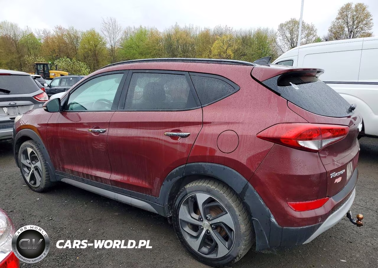2017 Hyundai Tucson Limited VIN:KM8J3CA23HU293065 - 2