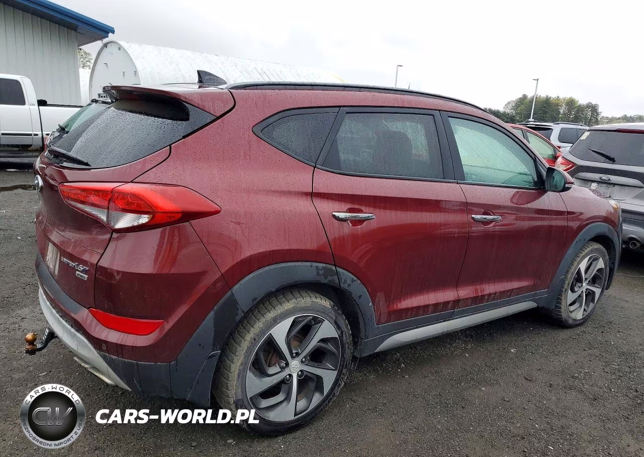 2017 Hyundai Tucson Limited VIN:KM8J3CA23HU293065 - 3