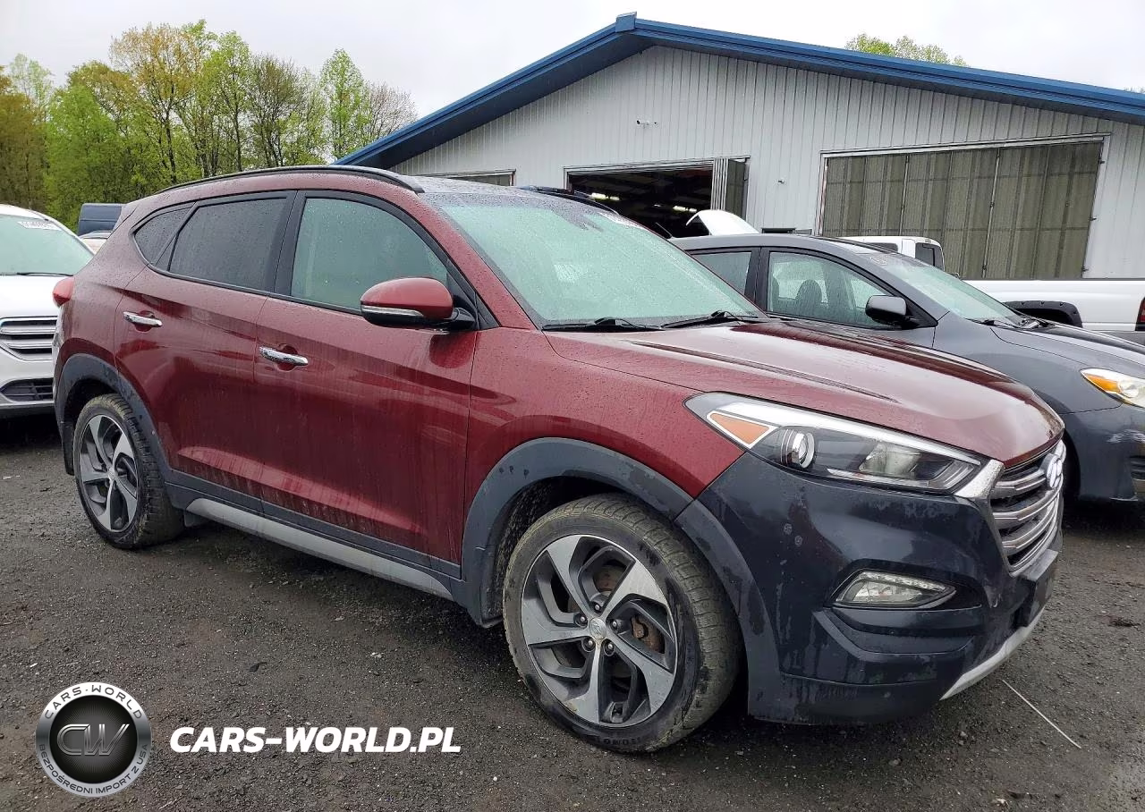 2017 Hyundai Tucson Limited VIN:KM8J3CA23HU293065 - 4