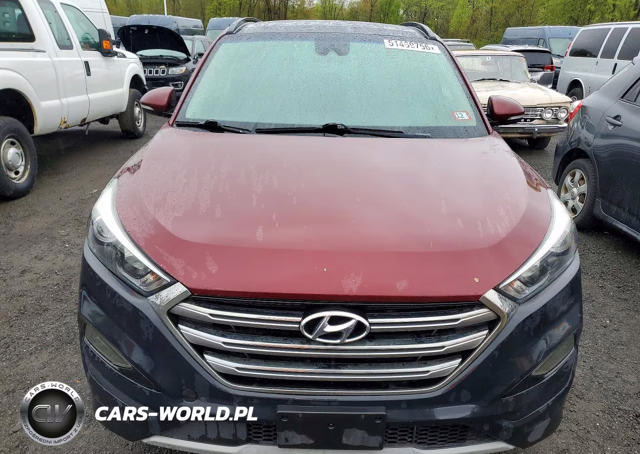 2017 Hyundai Tucson Limited VIN:KM8J3CA23HU293065 - 5