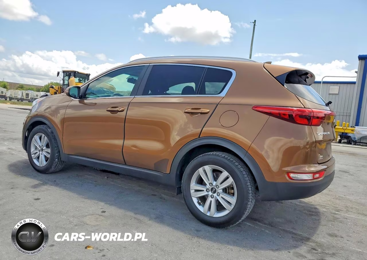 2017 Kia Sportage Lx VIN:KNDPM3AC3H7208258 - 2