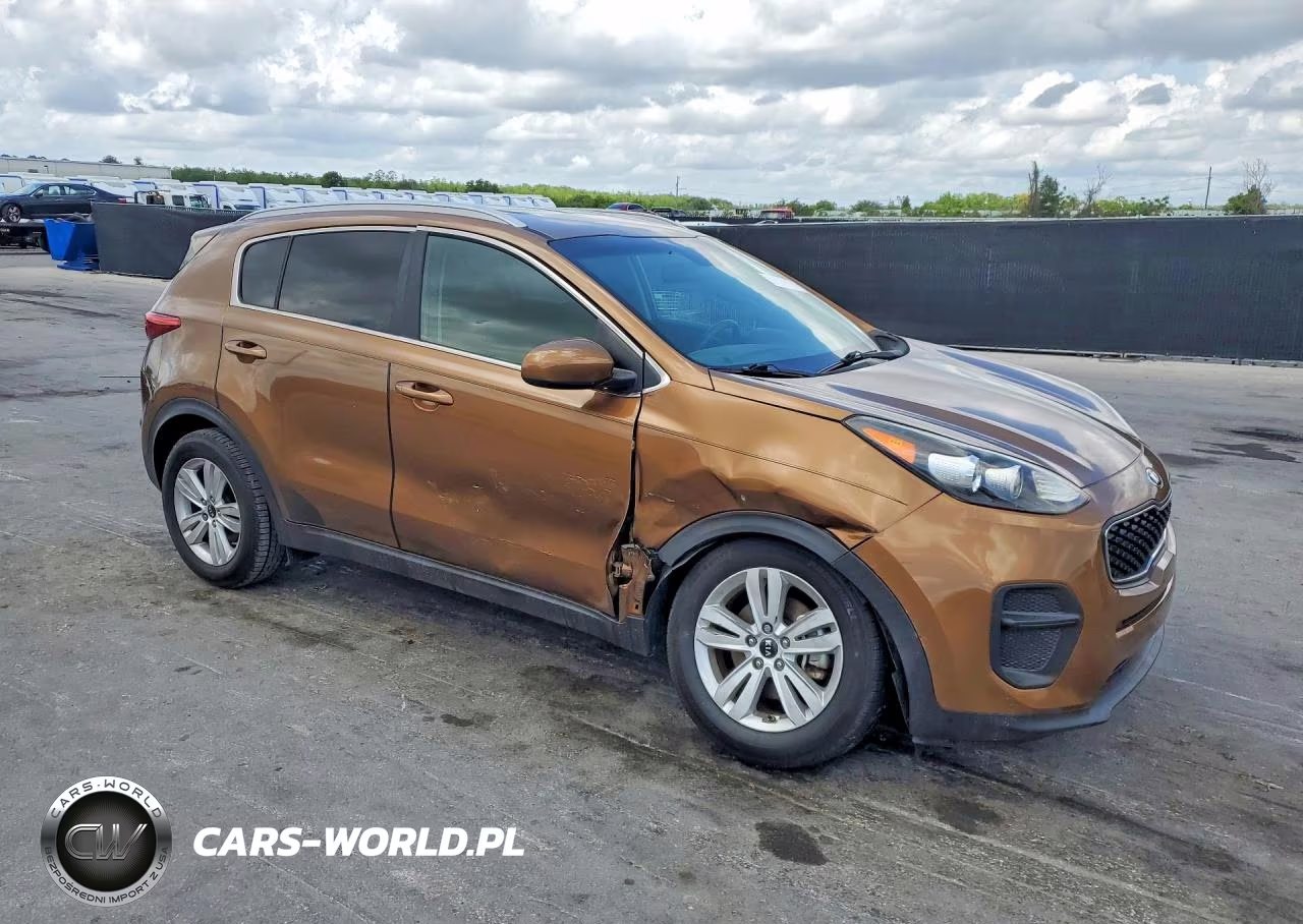 2017 Kia Sportage Lx VIN:KNDPM3AC3H7208258 - 4