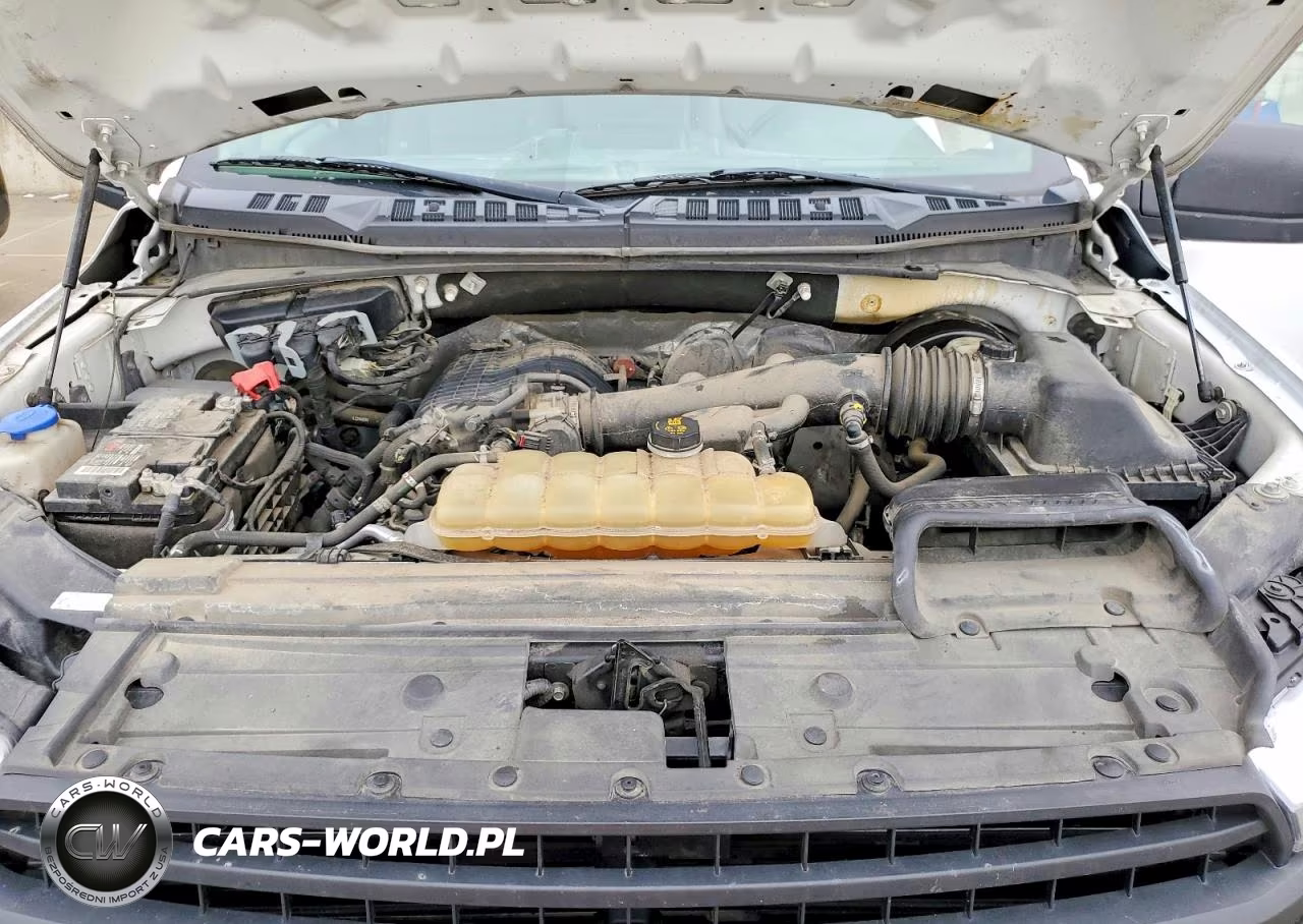 2019 Ford F150 VIN:1FTMF1CB9KKD99307 - 11