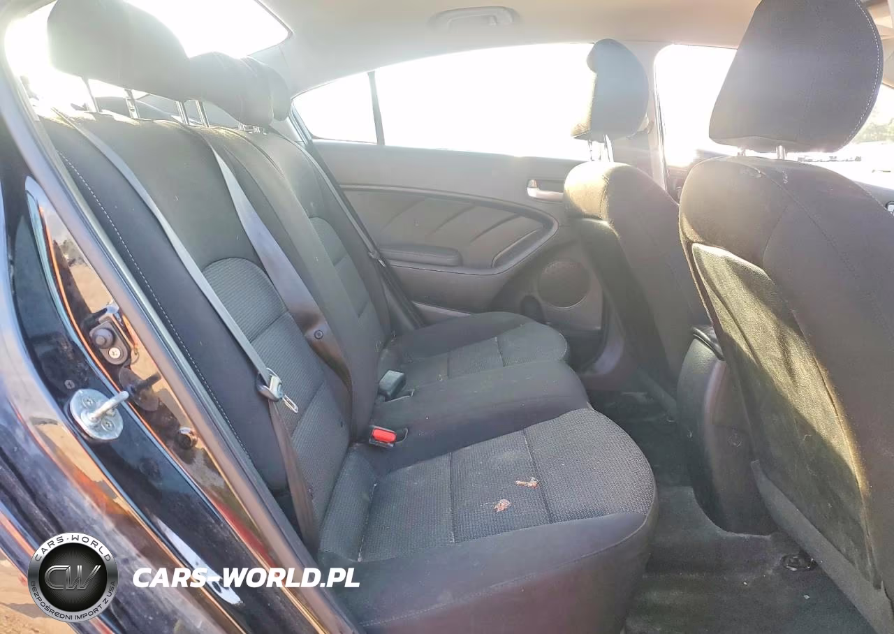 2017 Kia Forte Lx VIN:3KPFK4A78HE138895 - 10