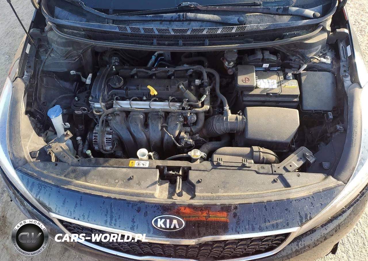 2017 Kia Forte Lx VIN:3KPFK4A78HE138895 - 11