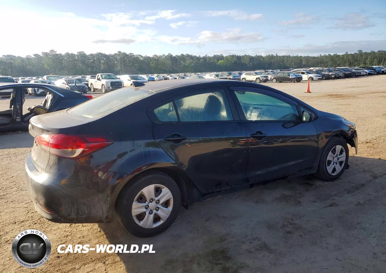 2017 Kia Forte Lx VIN:3KPFK4A78HE138895 - 3