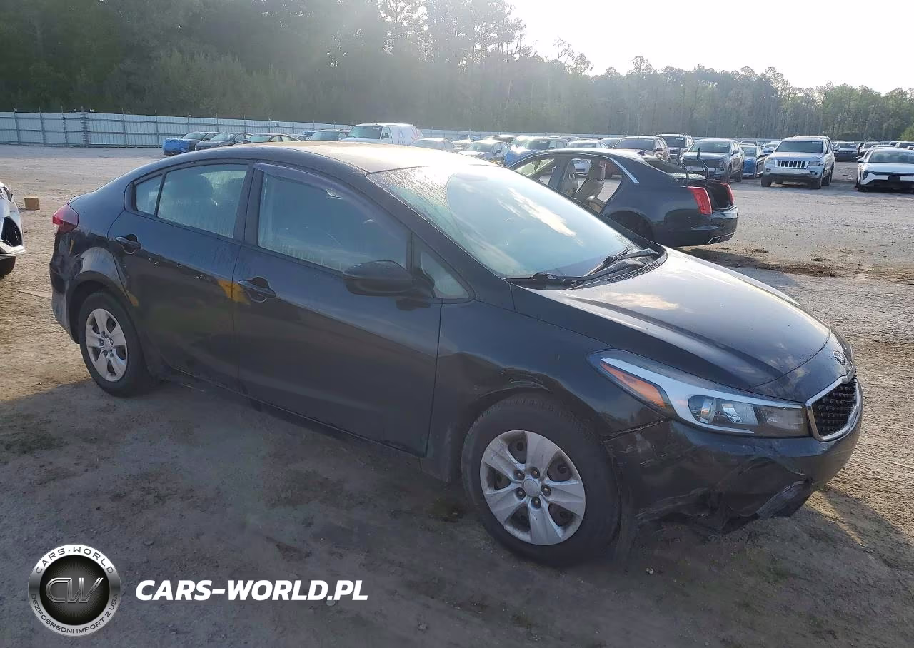 2017 Kia Forte Lx VIN:3KPFK4A78HE138895 - 4