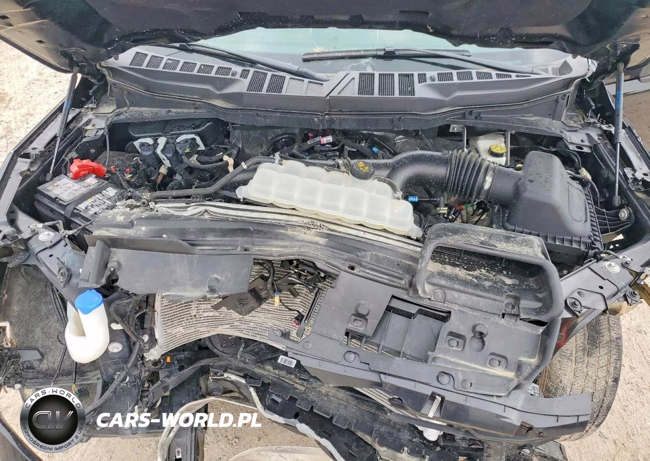 2025 Ford F150 Xlt VIN:1FTEW3KP2SKE75527 - 11