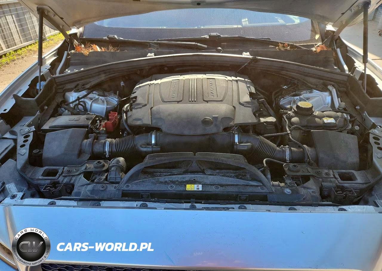 2017 Jaguar F-Pace First Edition VIN:SADCP2BV7HA063829 - 12