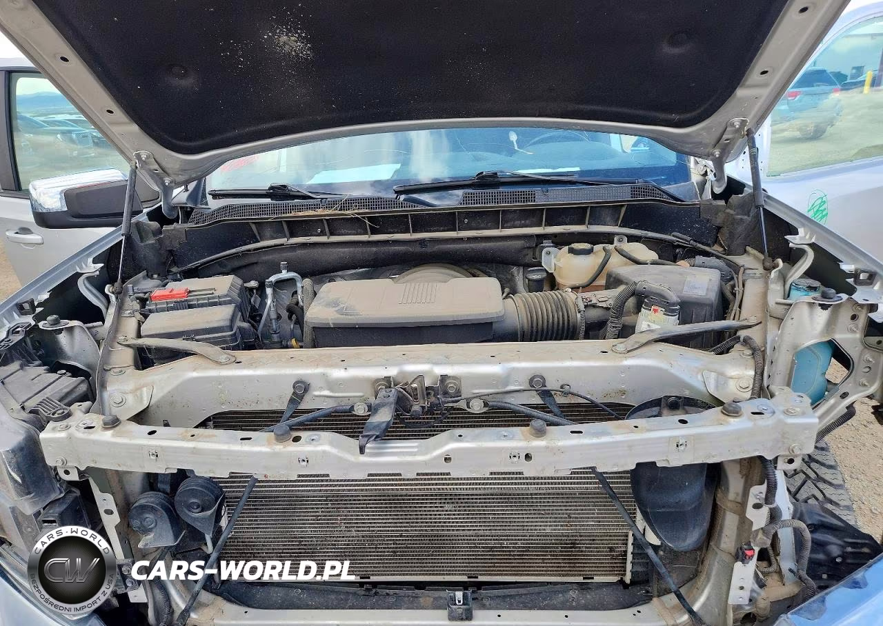 2019 Chevrolet Silverado K1500 Lt VIN:3GCUYDED8KG125954 - 11