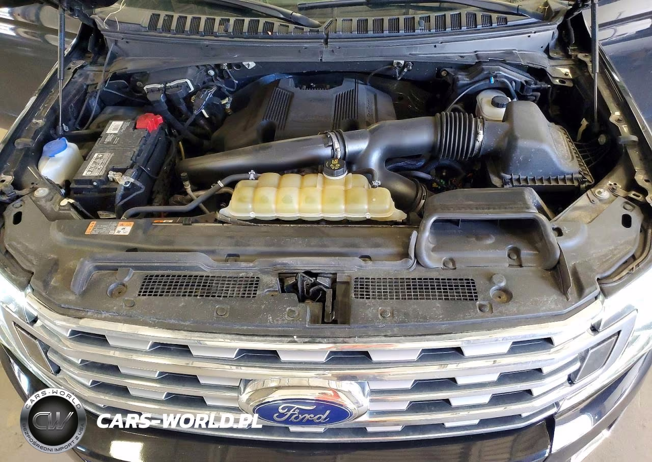 2019 Ford Expedition Limited VIN:1FMJU2AT1KEA83632 - 12