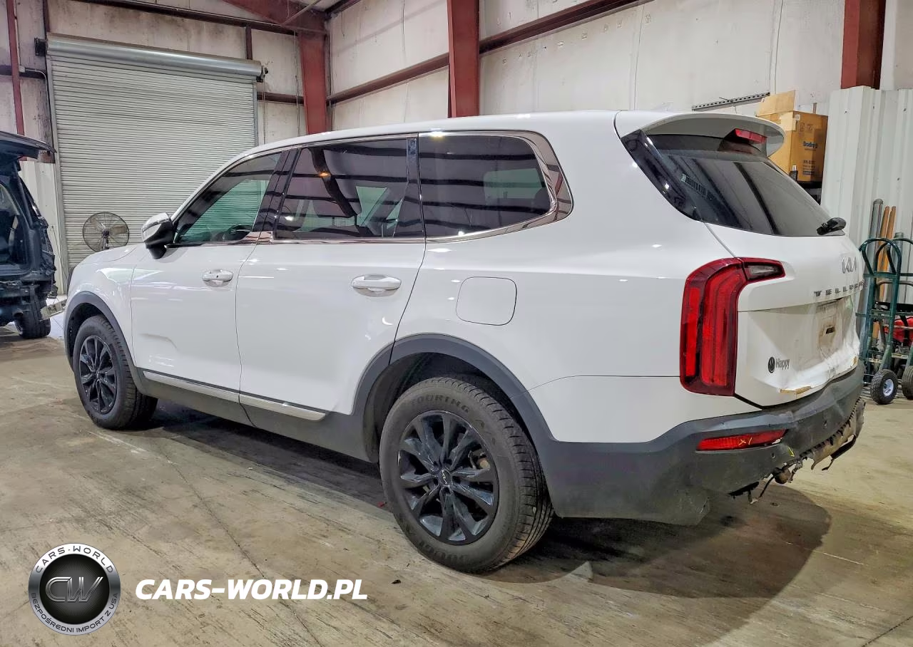2022 Kia Telluride Lx VIN:5XYP24HC2NG294565 - 2