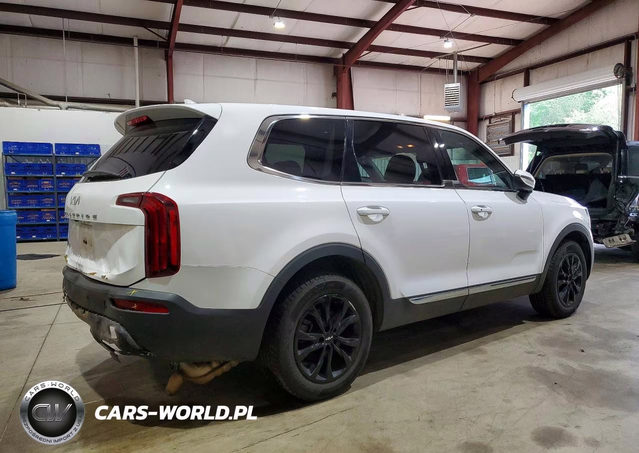 2022 Kia Telluride Lx VIN:5XYP24HC2NG294565 - 3