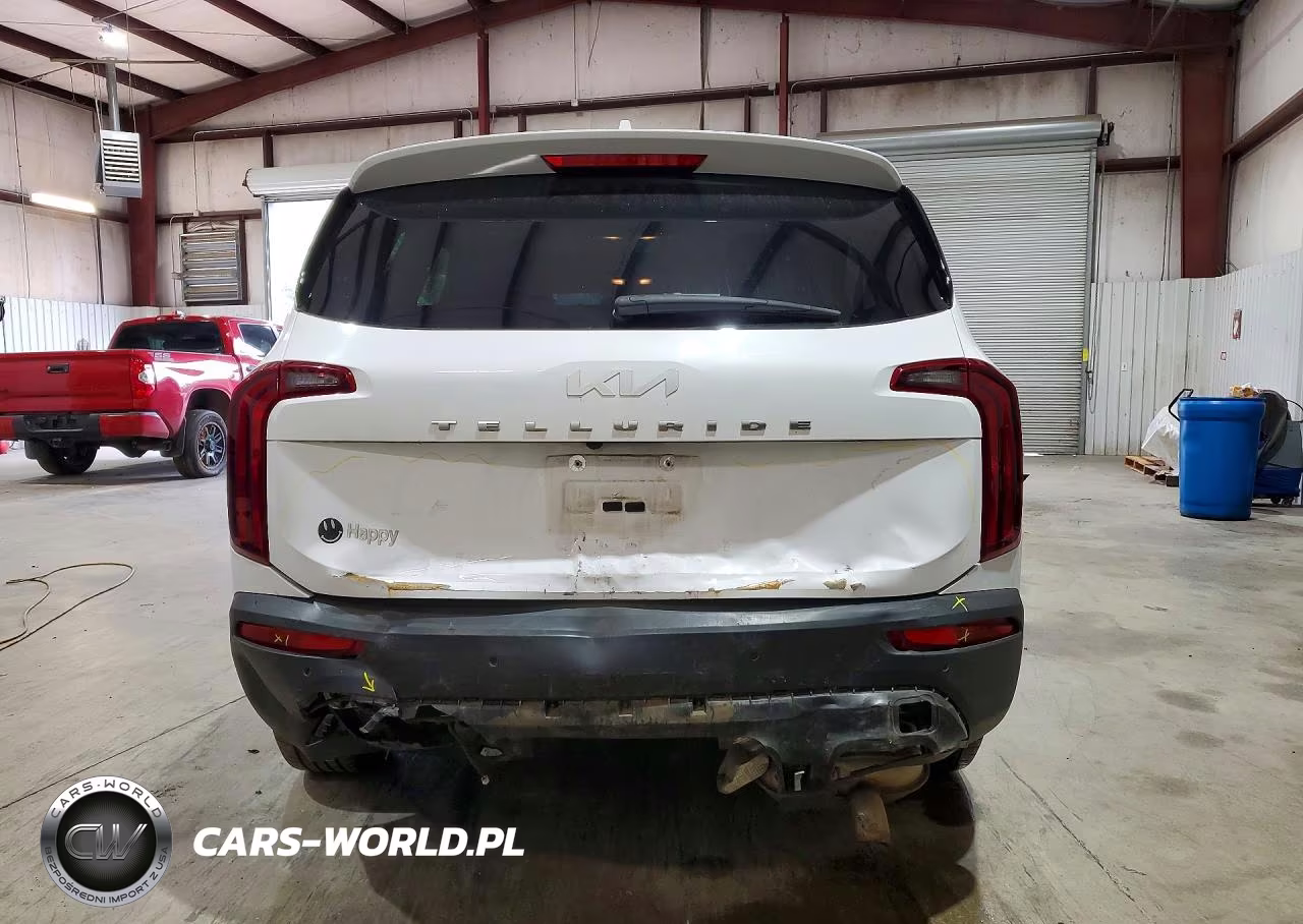 2022 Kia Telluride Lx VIN:5XYP24HC2NG294565 - 6