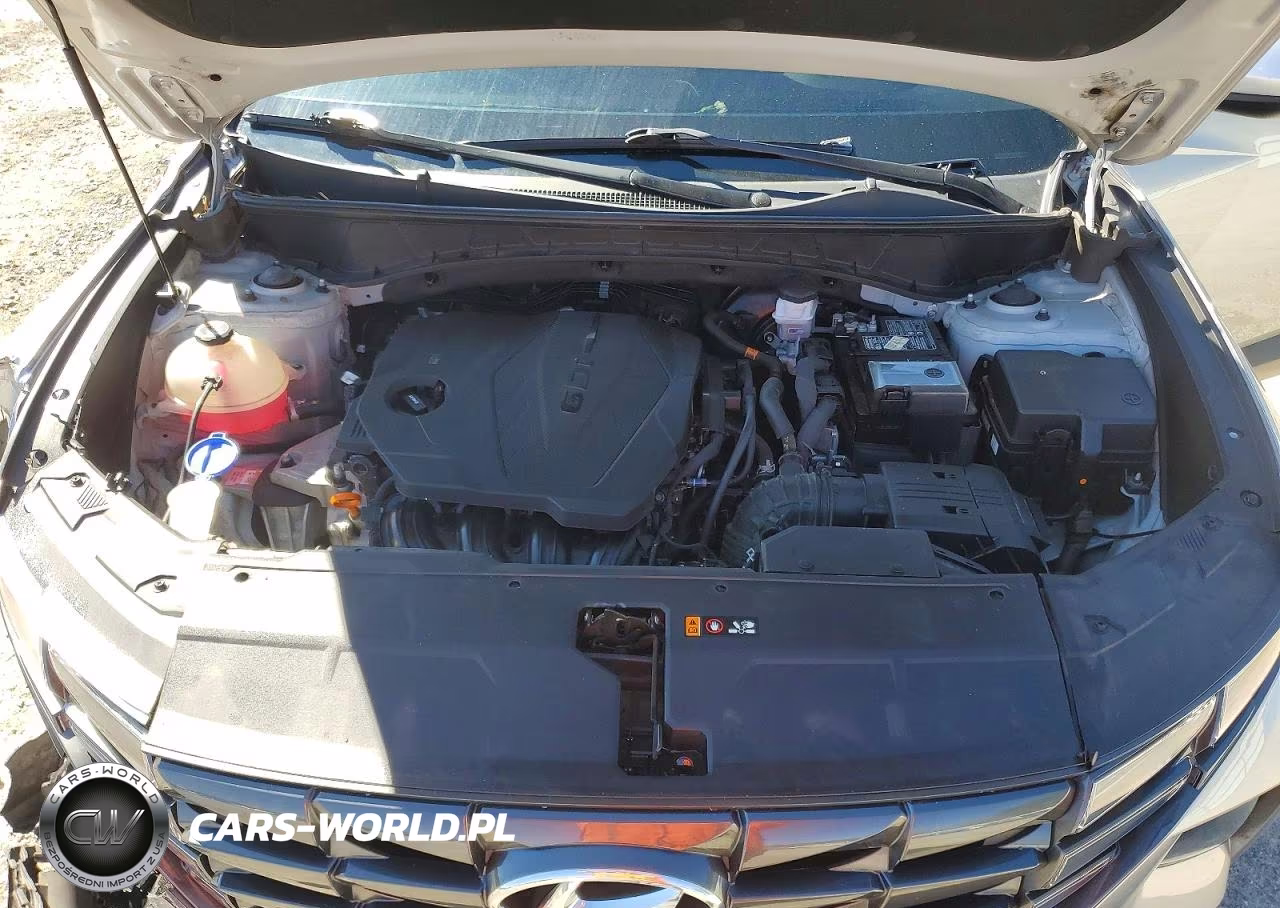2024 Hyundai Tucson Sel VIN:5NMJBCDE3RH324496 - 11