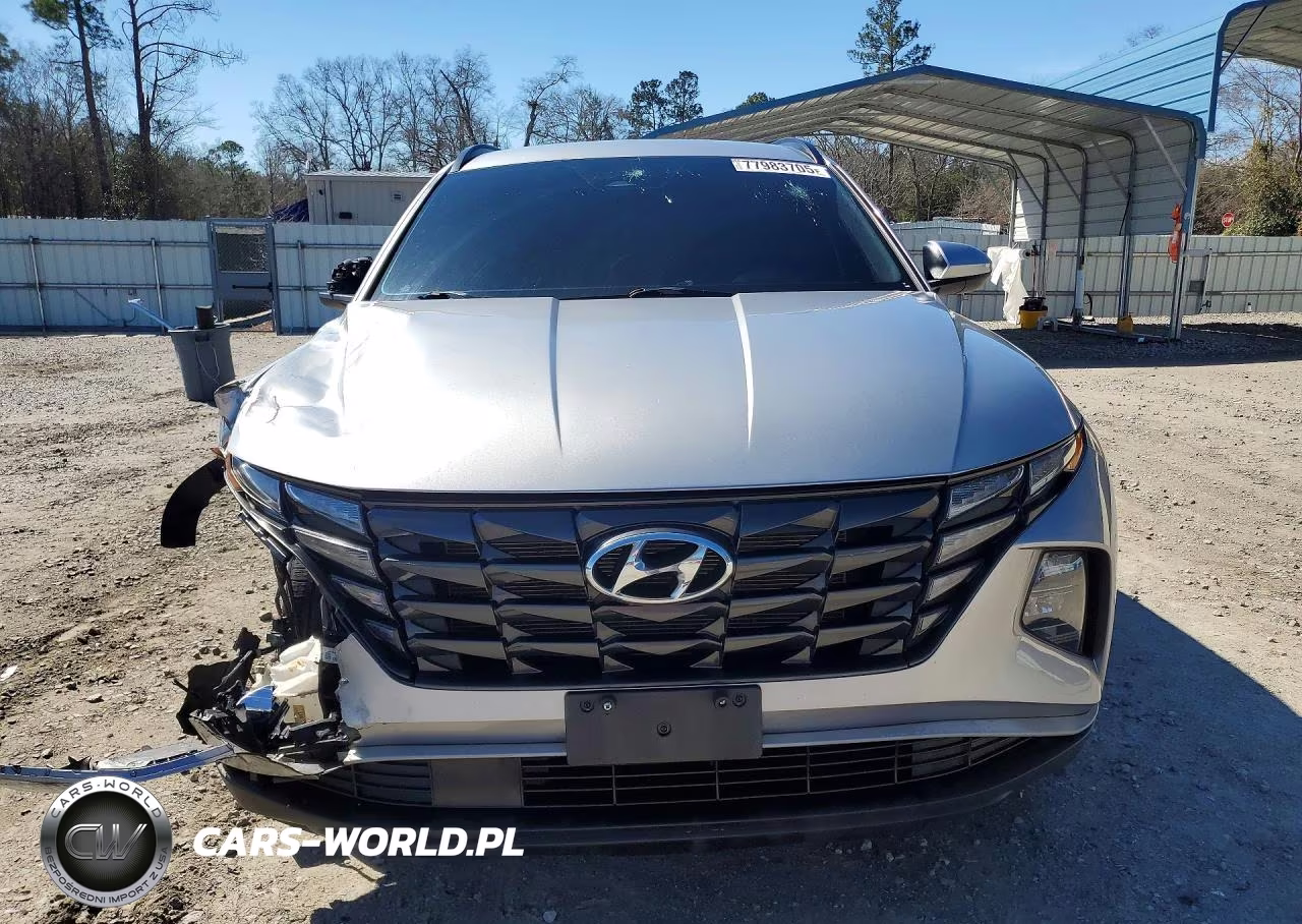 2024 Hyundai Tucson Sel VIN:5NMJBCDE3RH324496 - 5