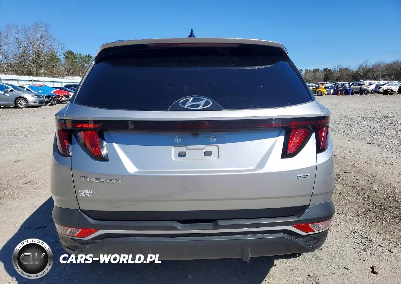 2024 Hyundai Tucson Sel VIN:5NMJBCDE3RH324496 - 6
