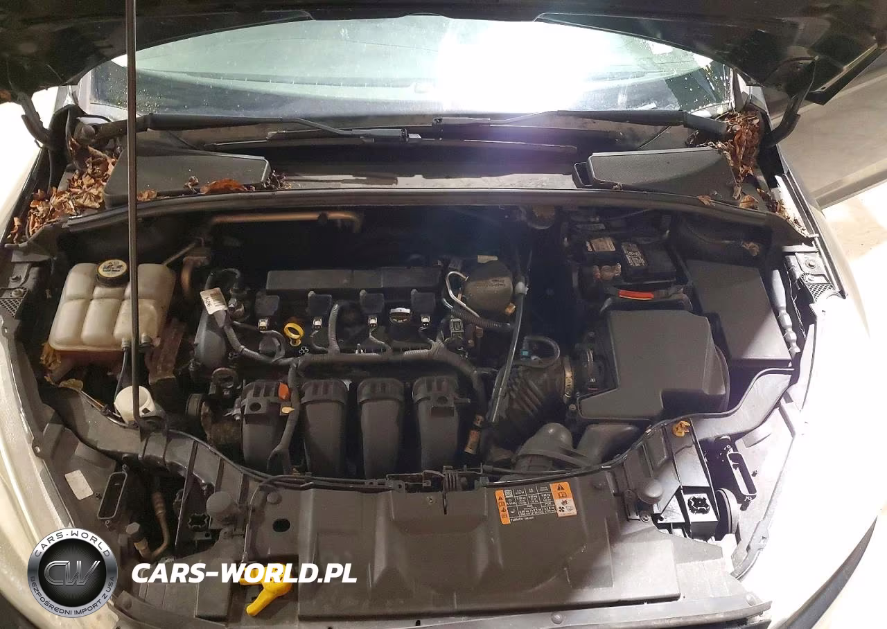 2015 Ford Focus Se VIN:1FADP3F25FL217449 - 11