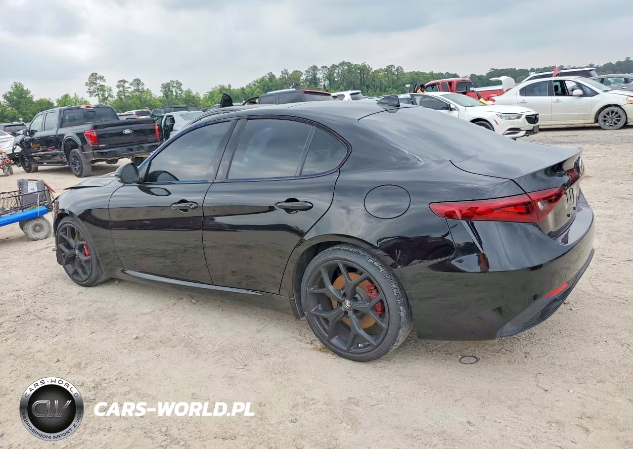 2020 Alfa Romeo Giulia VIN:ZARFAMAN0L7626738 - 2