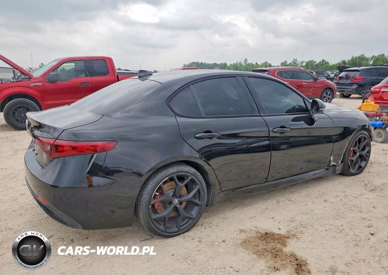 2020 Alfa Romeo Giulia VIN:ZARFAMAN0L7626738 - 3