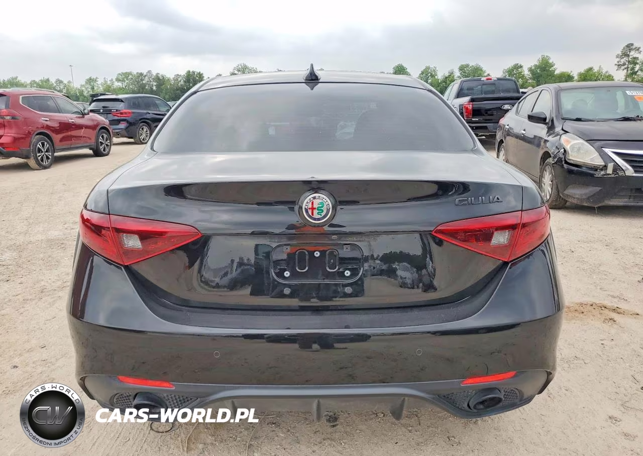 2020 Alfa Romeo Giulia VIN:ZARFAMAN0L7626738 - 6